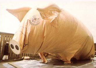 Inflating the pig... (1976)