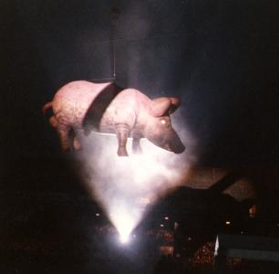 Porker (1987-89)