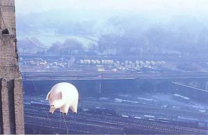 Pig afloat (1976)